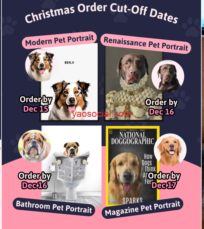 crownandpaw广告素材