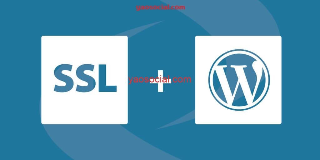 how to secure your wordpress multisite network with an ssl certificate - 品牌出海研究社