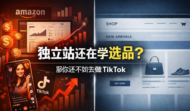 独立站选品